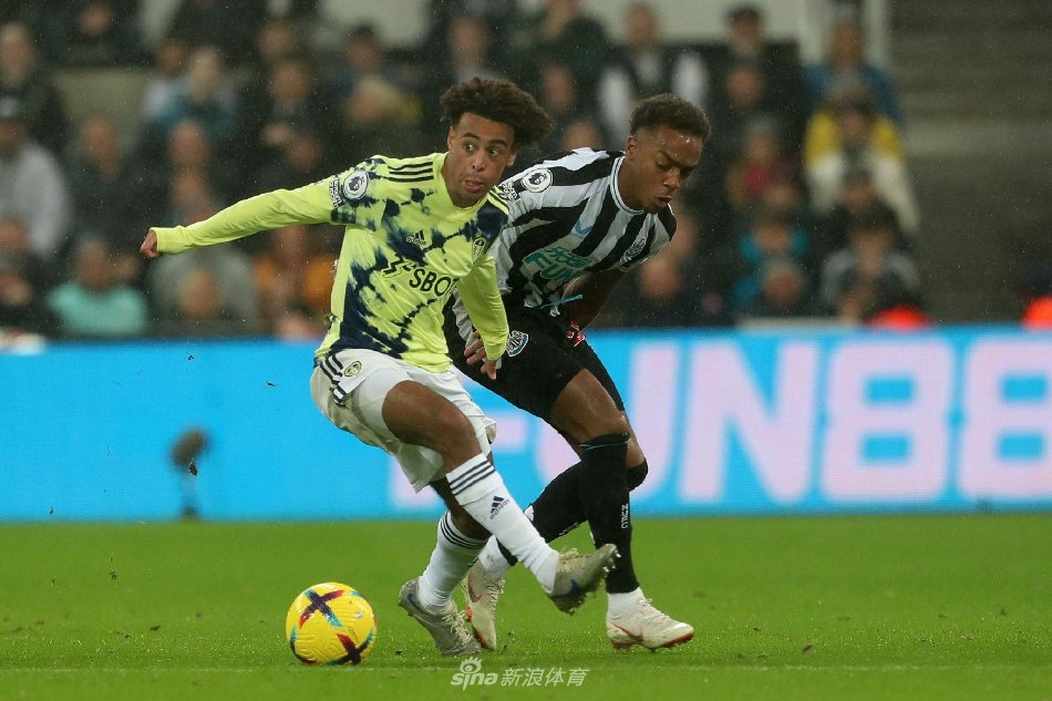 部血栓赛季 部血栓赛季