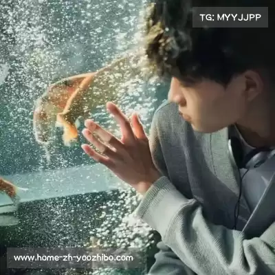 费仲季